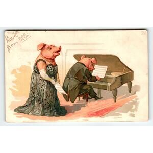 Dressed Pigs Fantasy Anthropomorphic Postcard Opera Singer Piano Player 1911